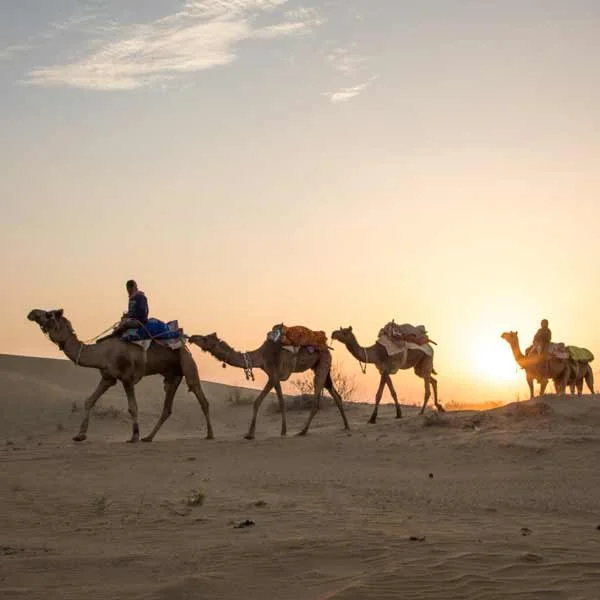 One Night 2 Days Jaisalmer Tour Package